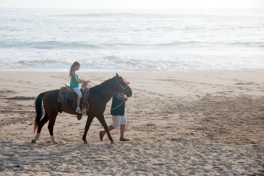 Horseback riding on the beach